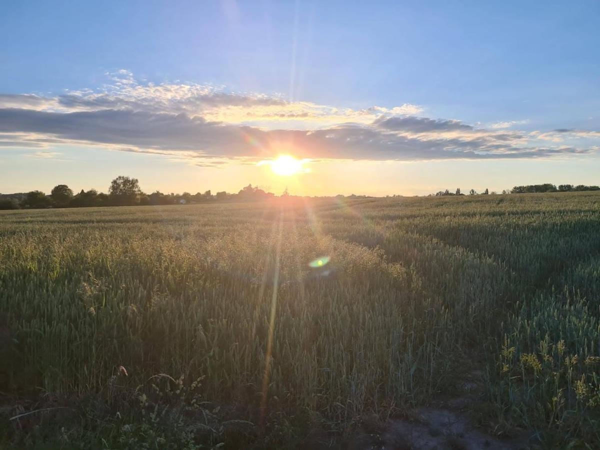 Ferienwohnung Shakira Penig Buitenkant foto