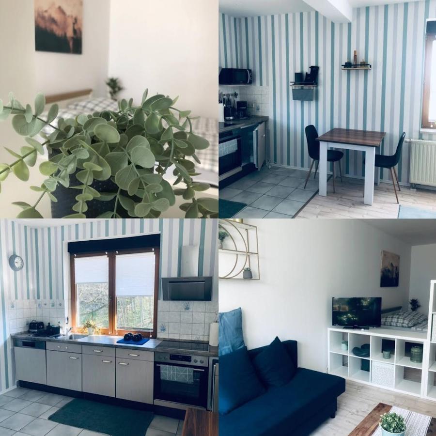 Ferienwohnung Shakira Penig Buitenkant foto