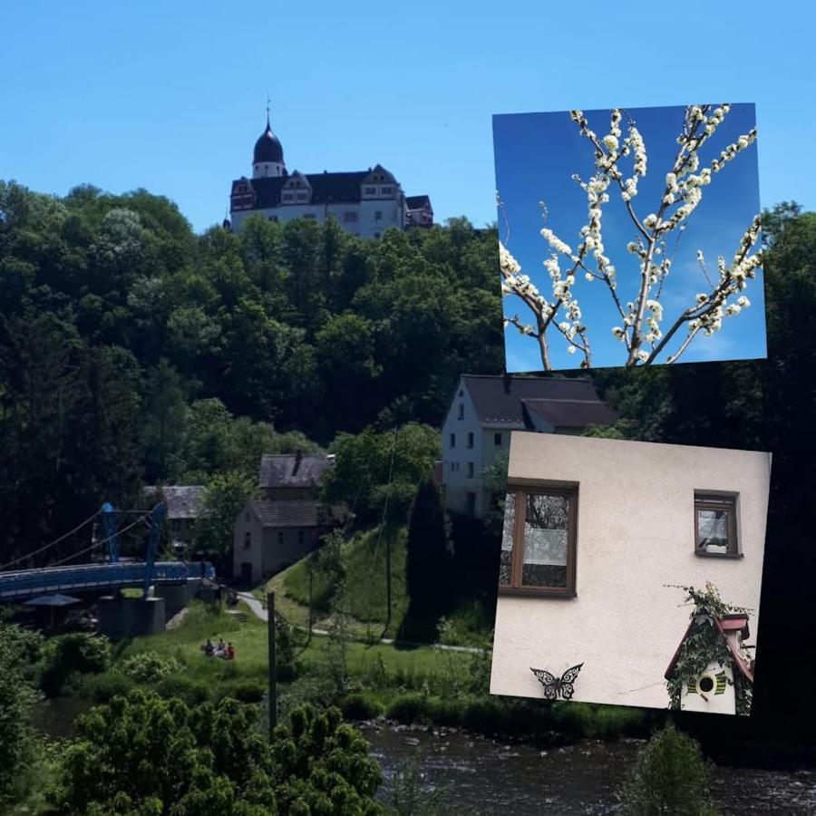 Ferienwohnung Shakira Penig Buitenkant foto