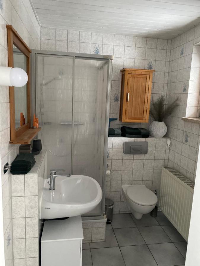 Ferienwohnung Shakira Penig Buitenkant foto